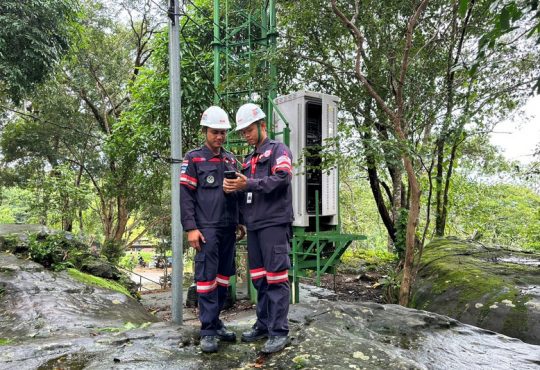 ภูมะเขือ