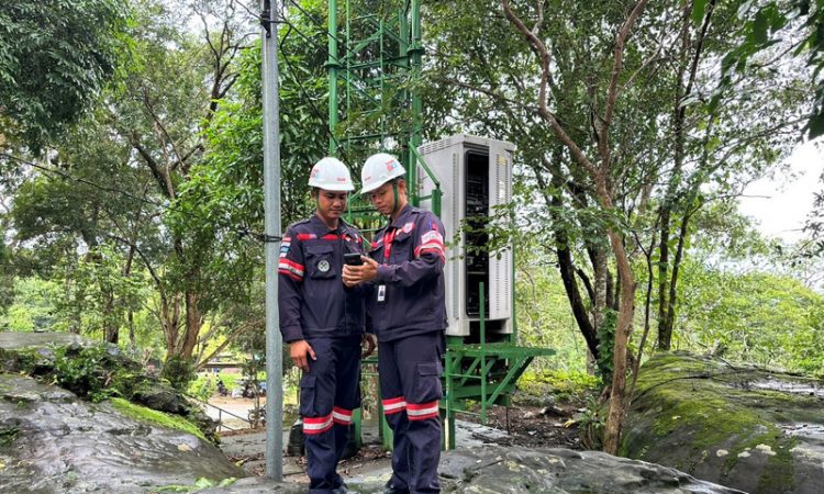 ภูมะเขือ