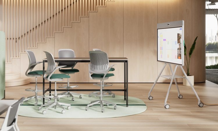 Logitech Rally Board